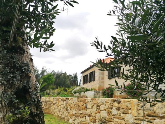 Vila Casa Dos Matos Ponte de Lima Exteriér fotografie