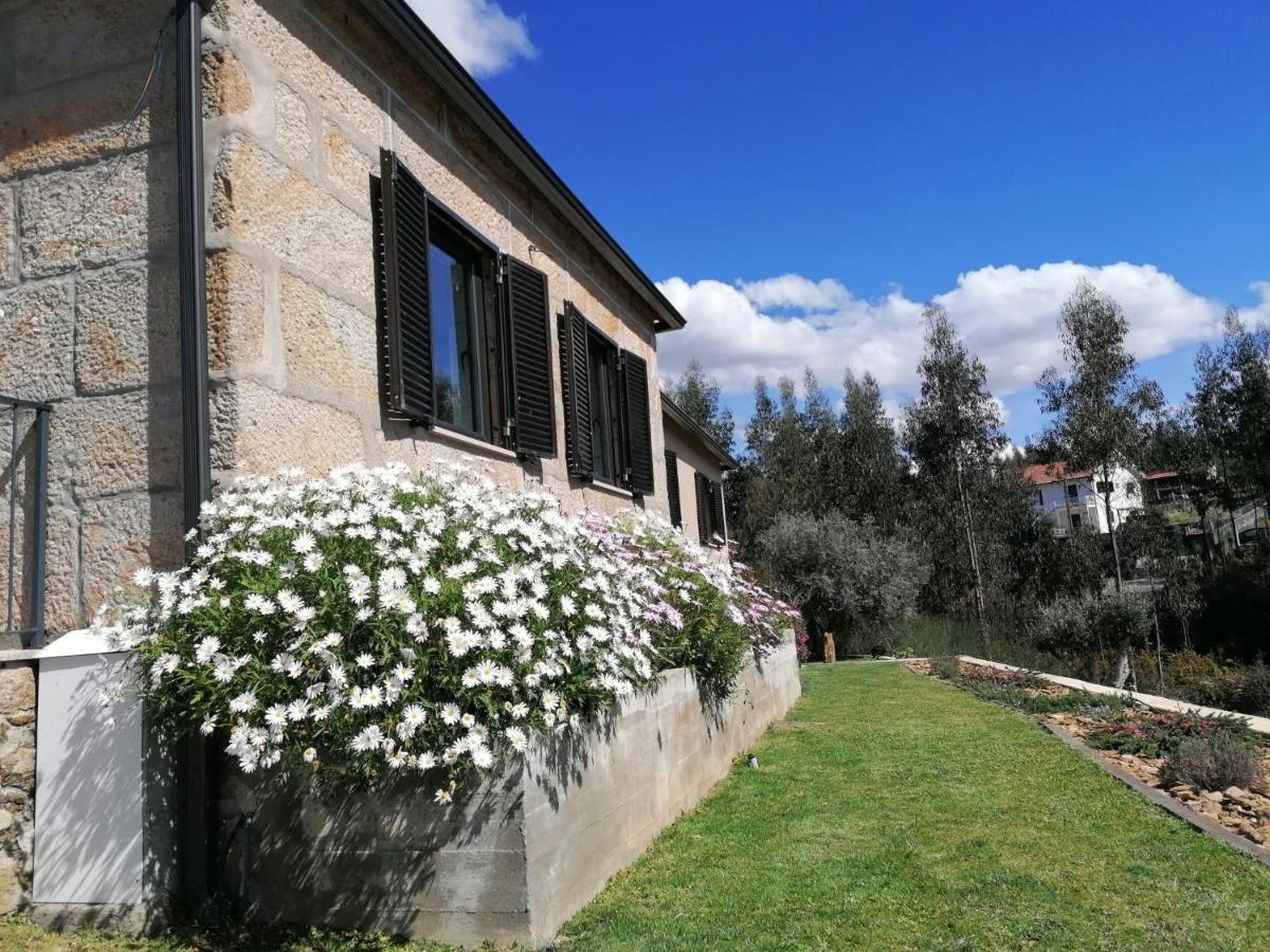 Vila Casa Dos Matos Ponte de Lima Exteriér fotografie