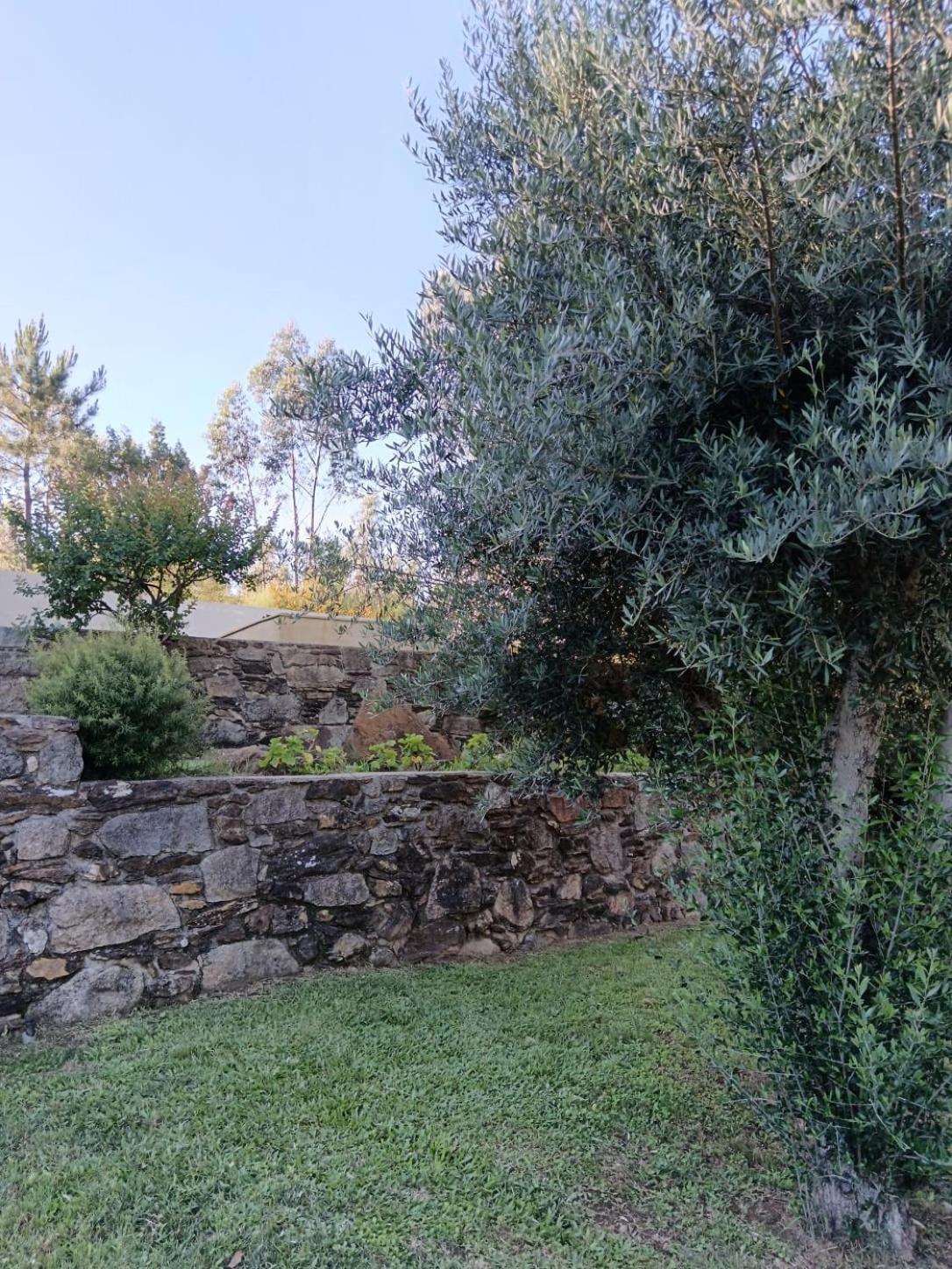 Vila Casa Dos Matos Ponte de Lima Exteriér fotografie