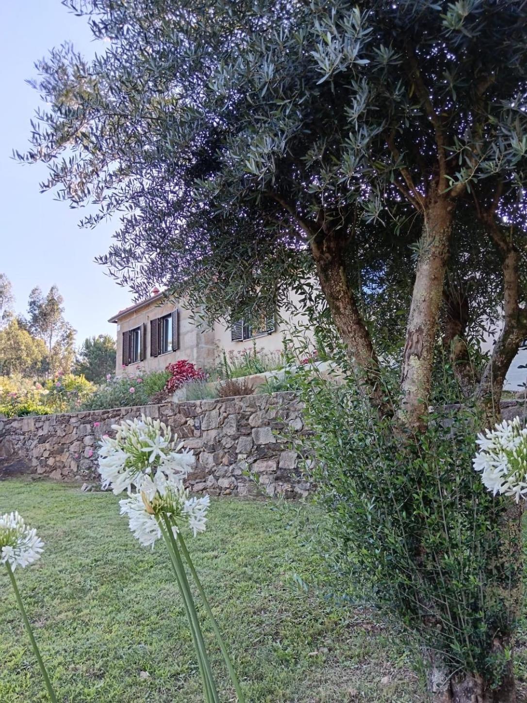 Vila Casa Dos Matos Ponte de Lima Exteriér fotografie